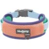 Vibrant Mesh Padded Ultra Cool Lightweight Dog Collar Set -Dog & Cat Store BBPDCLRP00447LB 1