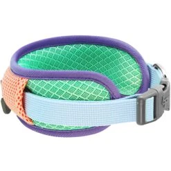 Vibrant Mesh Padded Ultra Cool Lightweight Dog Collar Set -Dog & Cat Store BBPDCLRP00447LB 2