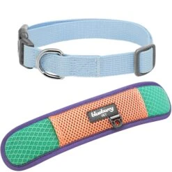 Vibrant Mesh Padded Ultra Cool Lightweight Dog Collar Set -Dog & Cat Store BBPDCLRP00447LB 3