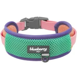 Vibrant Mesh Padded Ultra Cool Lightweight Dog Collar Set -Dog & Cat Store BBPDCLRP00447PK 1