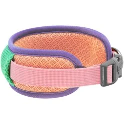 Vibrant Mesh Padded Ultra Cool Lightweight Dog Collar Set -Dog & Cat Store BBPDCLRP00447PK 2