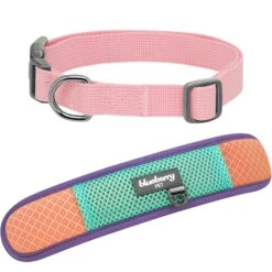 Vibrant Mesh Padded Ultra Cool Lightweight Dog Collar Set -Dog & Cat Store BBPDCLRP00447PK 3