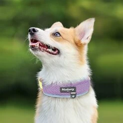 Vibrant Mesh Padded Ultra Cool Lightweight Dog Collar Set -Dog & Cat Store BBPDCLRP00447YE 1