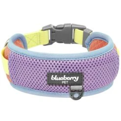 Vibrant Mesh Padded Ultra Cool Lightweight Dog Collar Set -Dog & Cat Store BBPDCLRP00447YE 1