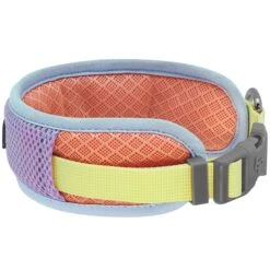 Vibrant Mesh Padded Ultra Cool Lightweight Dog Collar Set -Dog & Cat Store BBPDCLRP00447YE 2