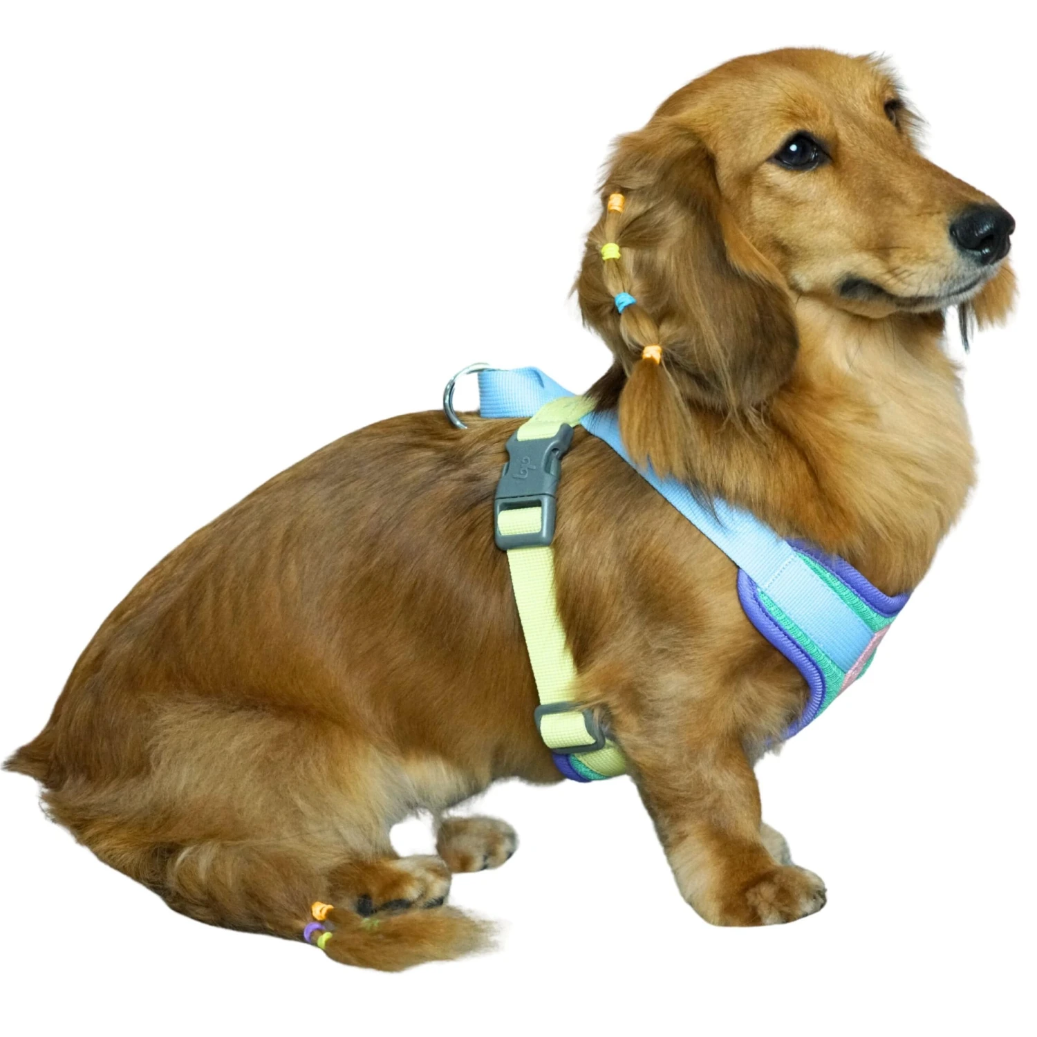Vibrant Mesh Padded Ultra Cool Lightweight Dog Harness Vest 2 Vibrant Mesh Padded Ultra Cool Lightweight Dog Harness Vest - Image 2