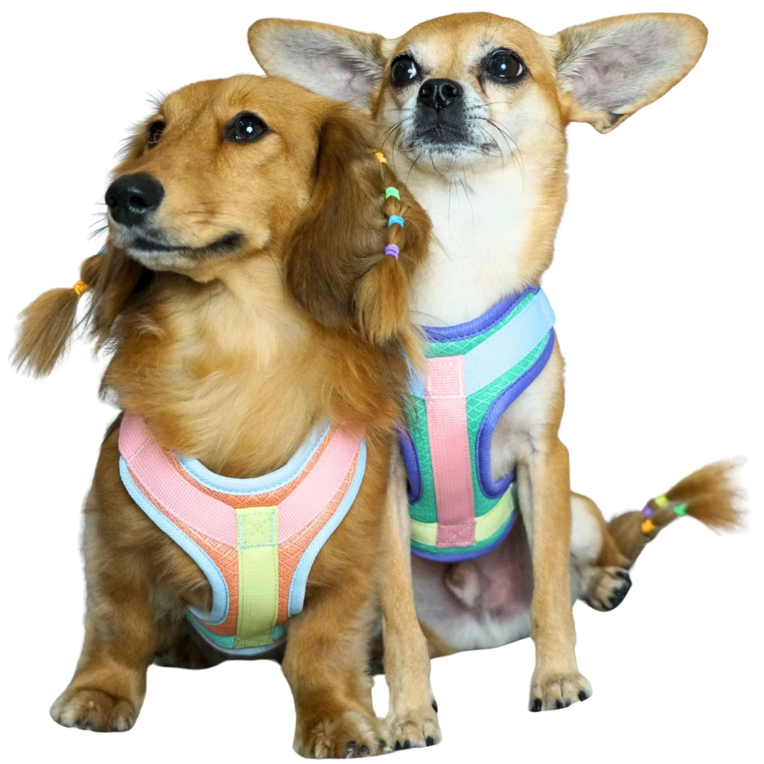 Vibrant Mesh Padded Ultra Cool Lightweight Dog Harness Vest 3 Vibrant Mesh Padded Ultra Cool Lightweight Dog Harness Vest - Image 3