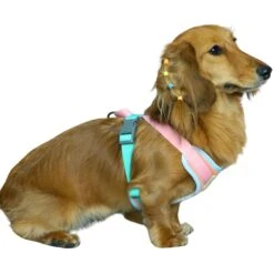 Vibrant Mesh Padded Ultra Cool Lightweight Dog Harness Vest 18 Vibrant Mesh Padded Ultra Cool Lightweight Dog Harness Vest -Dog & Cat Store BBPDHRNP00447OR 1 1