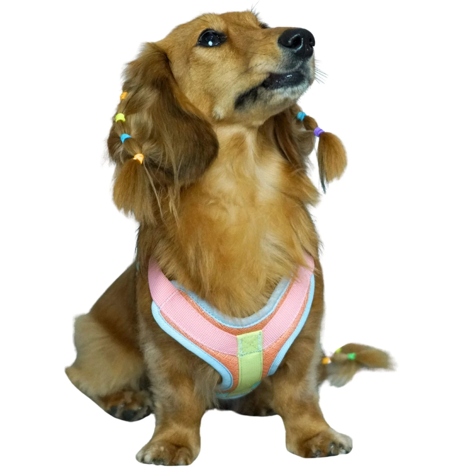 Vibrant Mesh Padded Ultra Cool Lightweight Dog Harness Vest 8 Vibrant Mesh Padded Ultra Cool Lightweight Dog Harness Vest - Image 8
