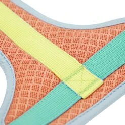 Vibrant Mesh Padded Ultra Cool Lightweight Dog Harness Vest 22 Vibrant Mesh Padded Ultra Cool Lightweight Dog Harness Vest -Dog & Cat Store BBPDHRNP00447OR 3