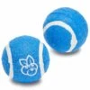 2pc Pack 2.5" Tennis Balls Dog Toy In Blue For Pets 16 2pc Pack 2.5" Tennis Balls Dog Toy In Blue For Pets -Dog & Cat Store BBPDRBTY00005BL06 1