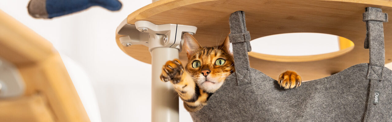 Dog & Cat Store -Dog & Cat Store customisable cat trees runs and other pet products designed by omlet e1757392890722