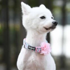 Made Well Floral Dog Collar With Removable Flower Accessory -Dog & Cat Store floral