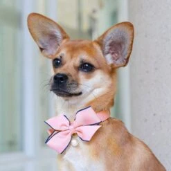 The Most Coveted Dog Collar With Bowtie And Pearl Chic -Dog & Cat Store pinkbowcollar