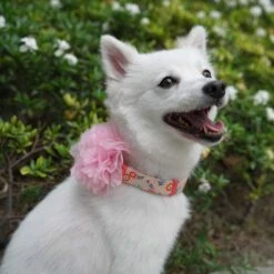 Floral Power Dog Collar With Handmade Detachable Pink Peony -Dog & Cat Store wellmade 1