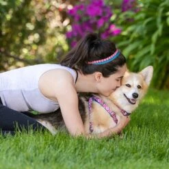 Southwestern Pattern Dog Harness For Stylish Pets -Dog & Cat Store yogaset 2